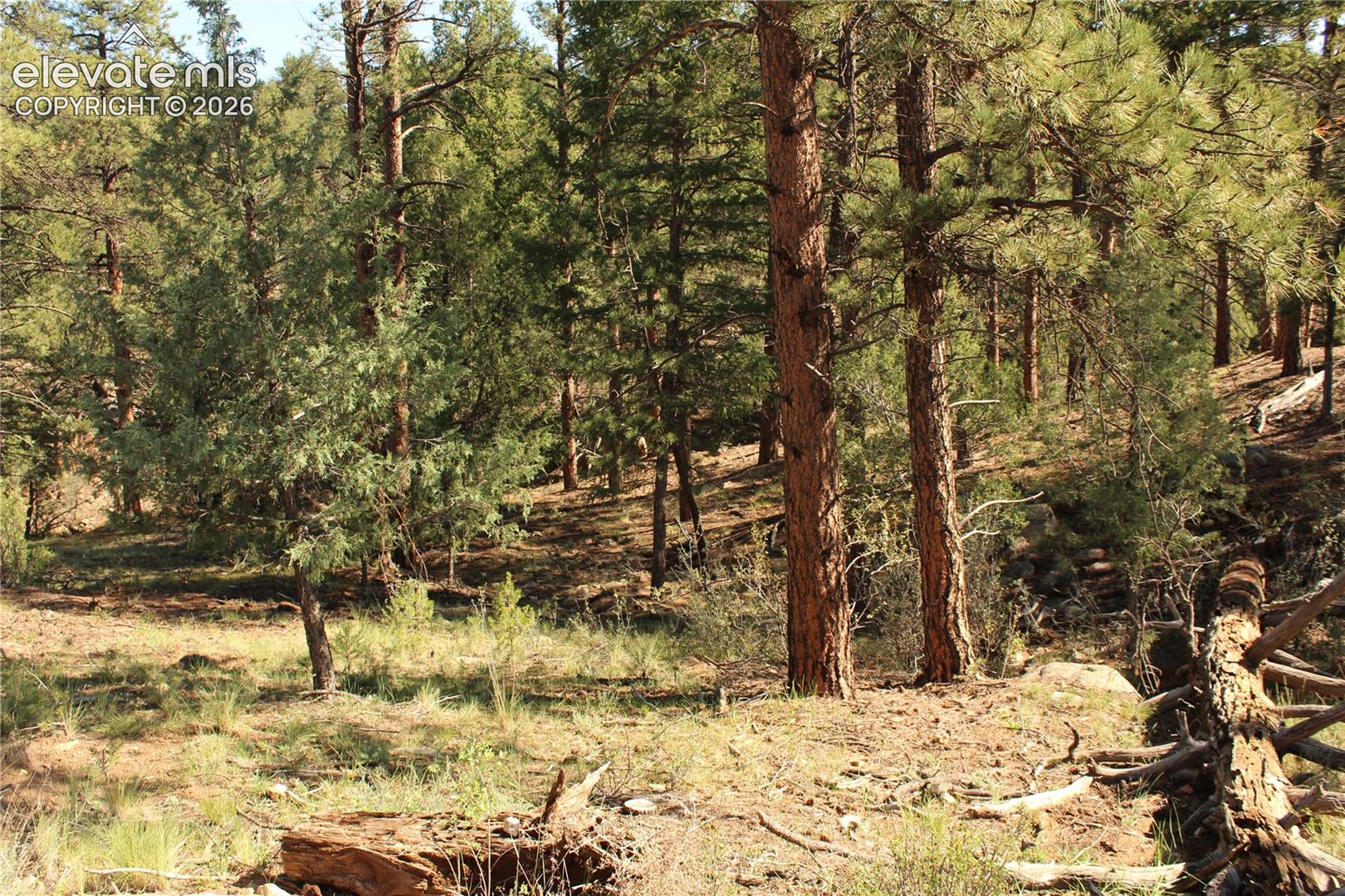 Land in Westcliffe 2