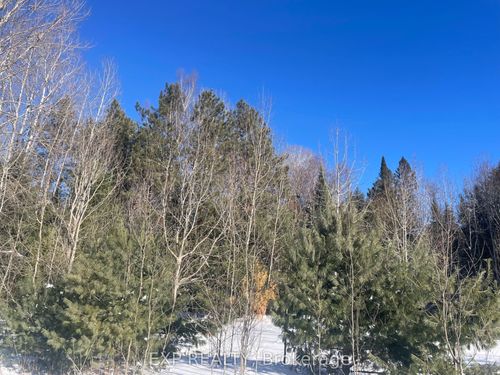 Pt Lt 25 Schutt Rd, Palmer Rapids, ON, K0J2E0 | Card Image