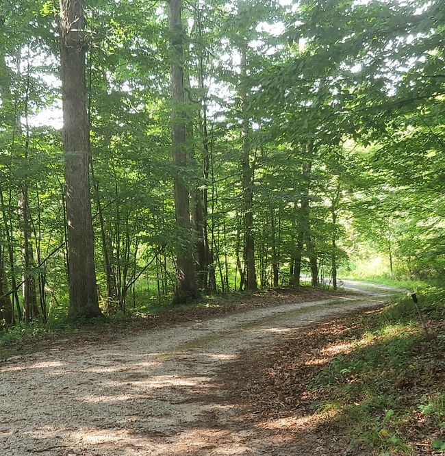 405 Buck Rd, Home with 2 bedrooms, 2 bathrooms and null parking in Coldwater MI | Image 5