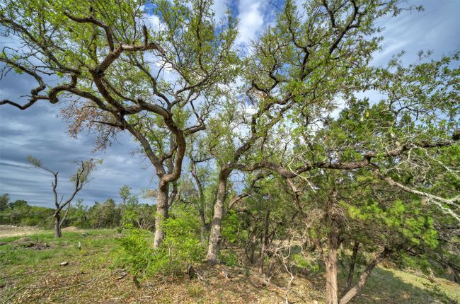 11916 Jim Bridger Dr, Home with 0 bedrooms, 0 bathrooms and null parking in Austin TX | Image 11