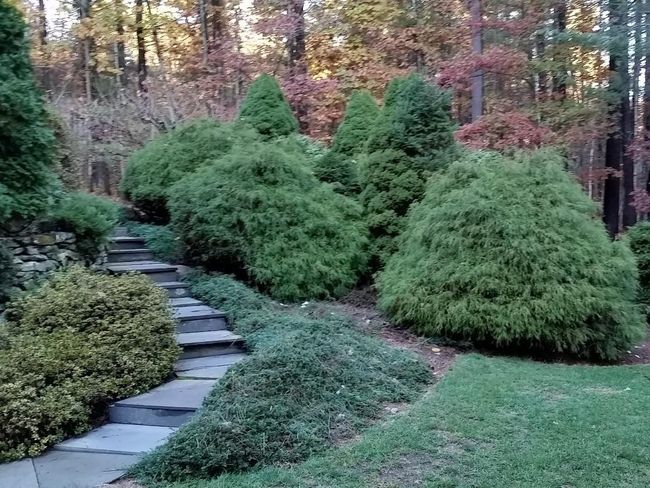 51 Hannah Dr, House other with 5 bedrooms, 3 bathrooms and null parking in Hollis NH | Image 6
