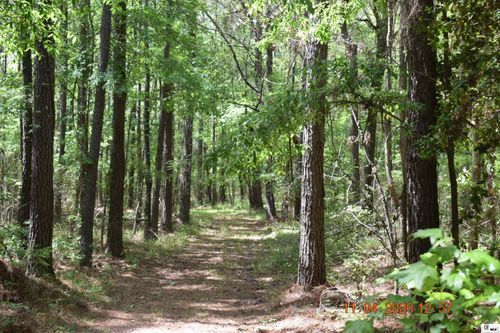 0 Cammeron Rd, Bastrop, LA, 71220 | Card Image