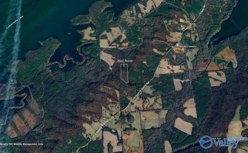 7-24.7 acres Stout Rd, Langston, AL, 35755-7016 | Card Image