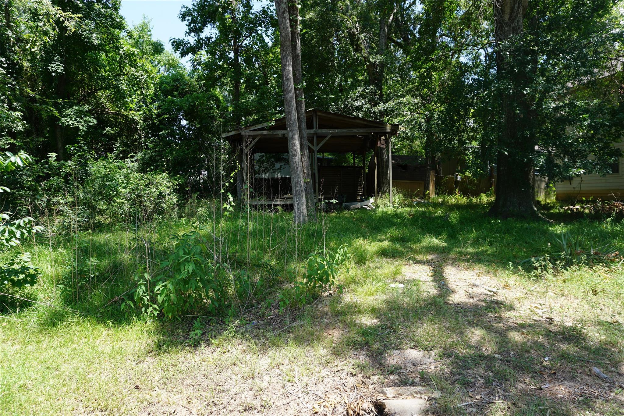 Land in Willis 5