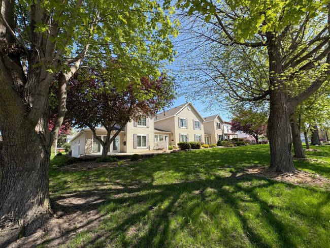 view of all 4 units from yard | Image 6