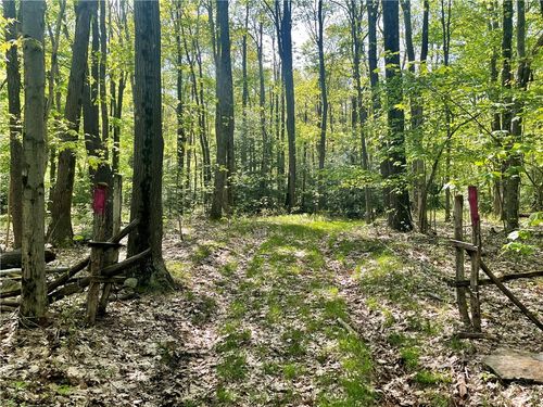 0 Vought Rock Rd, Garrett, PA, 15542 | Card Image