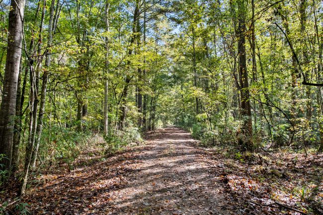 HFL_OSBORNE TRACT-25 | Image 27