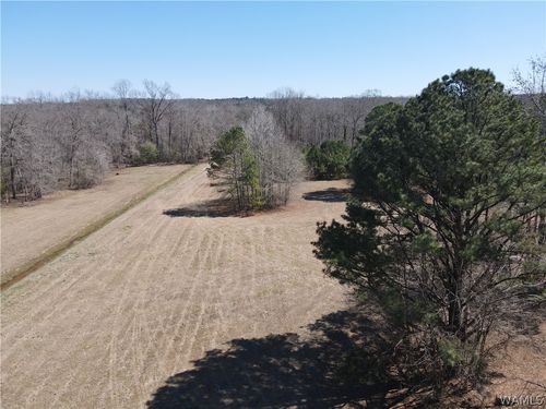 12287 Patton Place Spur, Coker, AL, 35452-3526 | Card Image