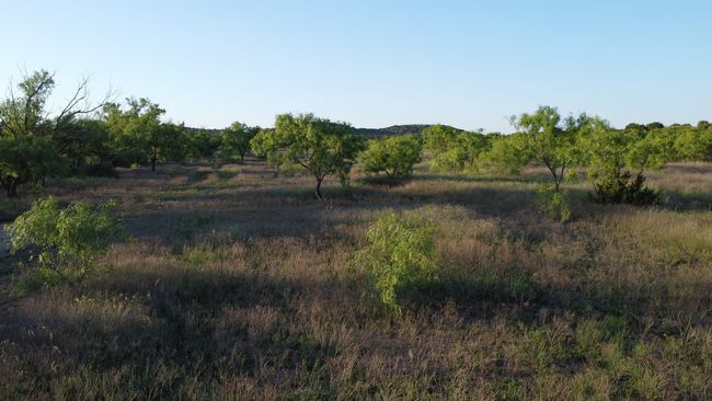 3609 Fm 1086, Home with 0 bedrooms, 0 bathrooms and null parking in Ovalo TX | Image 18