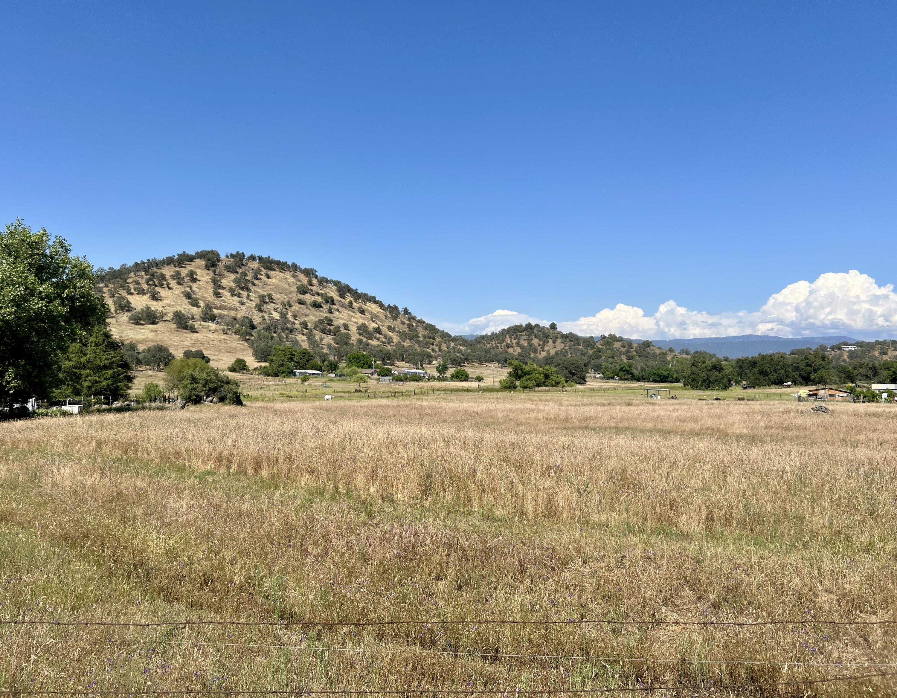 Land in Yokuts Valley 3
