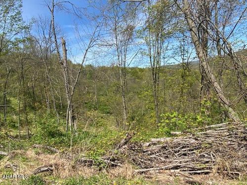6 Polecat Hollow Rd, Hopewell, PA, 16650 | Card Image