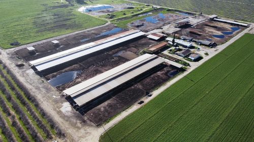 16508 S Clovis Ave, Selma, CA, 93662-9646 | Card Image