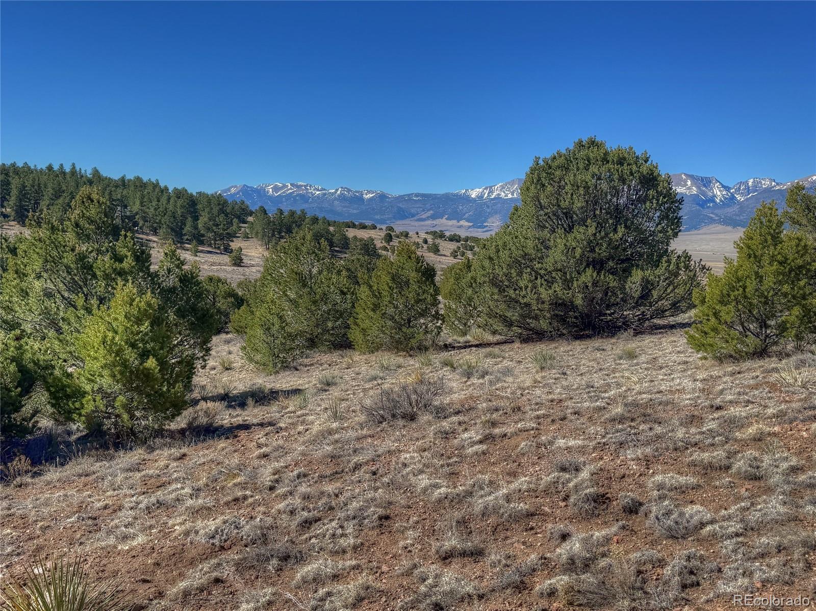 Land in Westcliffe