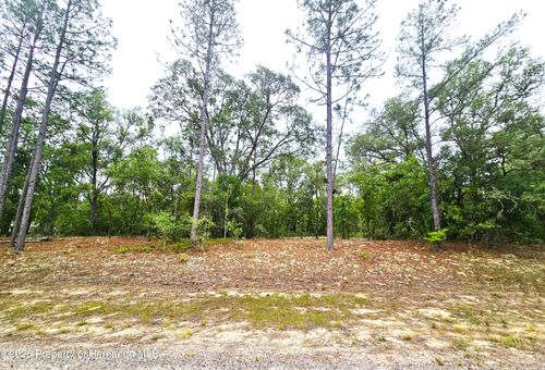 576 E Nemo Drive, Citrus Springs, FL, 34434 | Card Image
