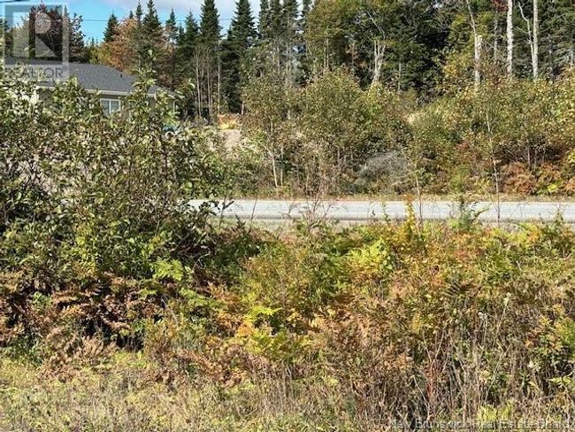 454 St Martins Rd, Home with 0 bedrooms, 0 bathrooms and null parking in Saint John NB | Image 7