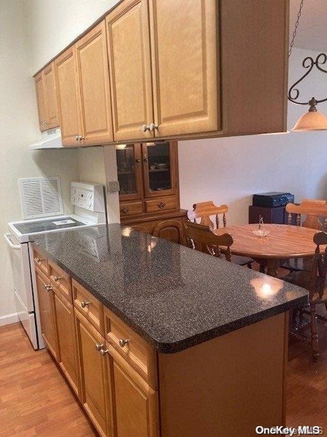 APT-125 - 725 Miller Ave, Condo with 1 bedrooms, 1 bathrooms and 2 parking in Freeport NY | Image 4