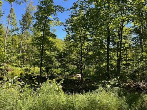Lot 045 Sawyer Notch Road, Andover, ME, 04216 | Card Image