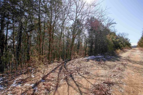 Lot 73 Big Buck Ln, Williford, AR, 72482-5021 | Card Image