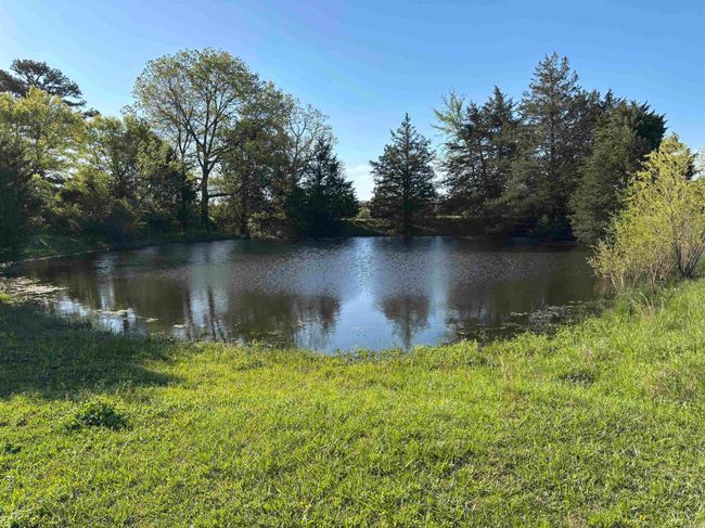 4732 Hwy 157 N Highway, Home with 3 bedrooms, 4 bathrooms and null parking in Judsonia AR | Image 23