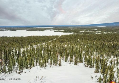 L8 Lou Anne Lane, Gakona, AK, 99586 | Card Image