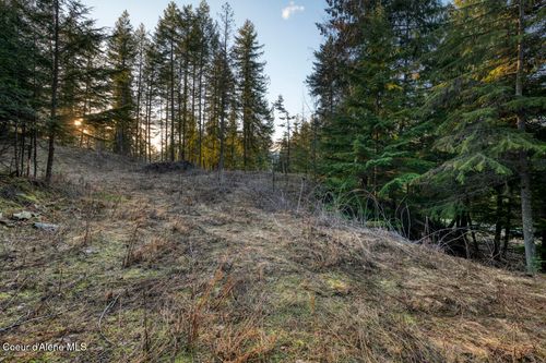 NNA White Cloud Dr, Sandpoint, ID, 83864 | Card Image