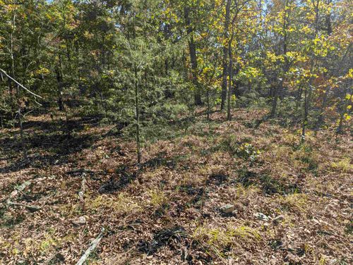 TBD Dearborn Ln, Salem, AR, 72576 | Card Image