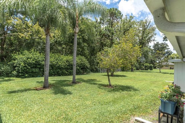 View from rear porch | Image 4