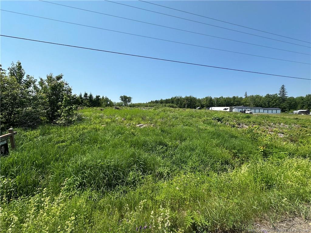Land in Hamtown Corner 2
