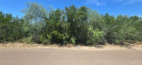 5323 Pascual, ZAPATA, TX, 78076 | Card Image