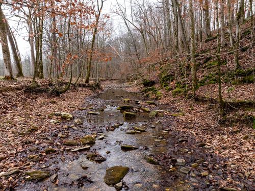 0 Shelter Branch Rd, Cumberland Furnace, TN, 37051 | Card Image