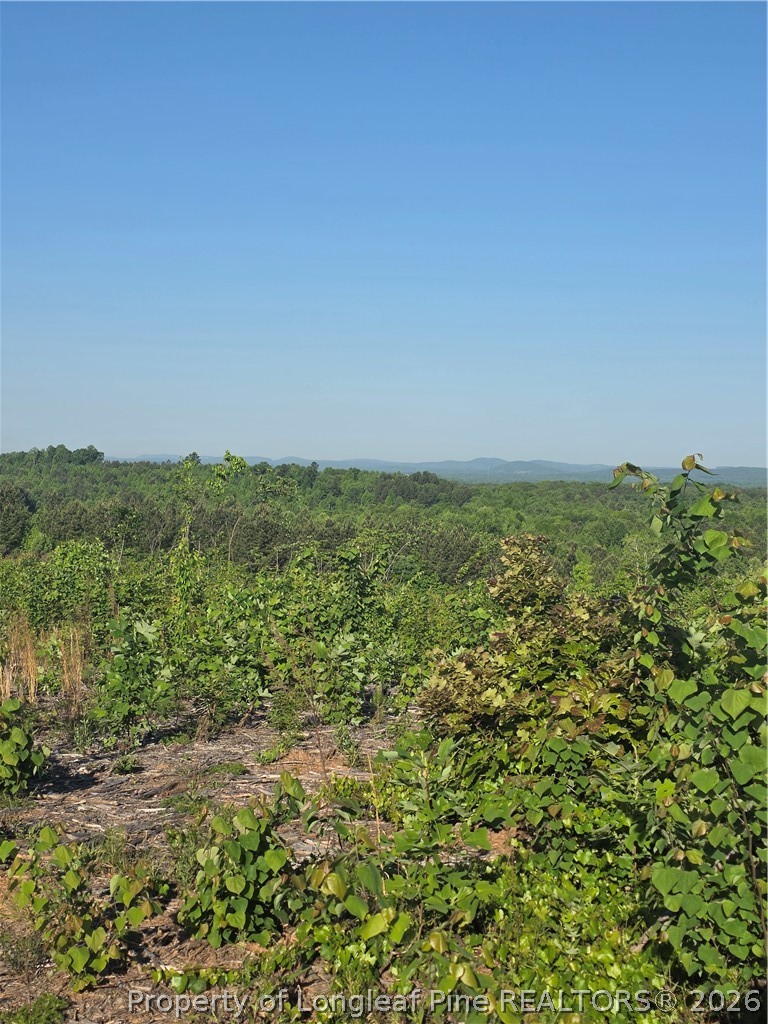 Land in Asheboro 4