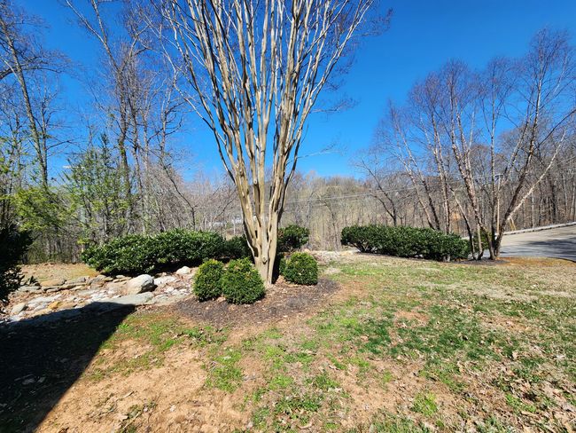 64 Shiloh Springs Road, Home with 0 bedrooms, 0 bathrooms and null parking in Rutledge TN | Image 14