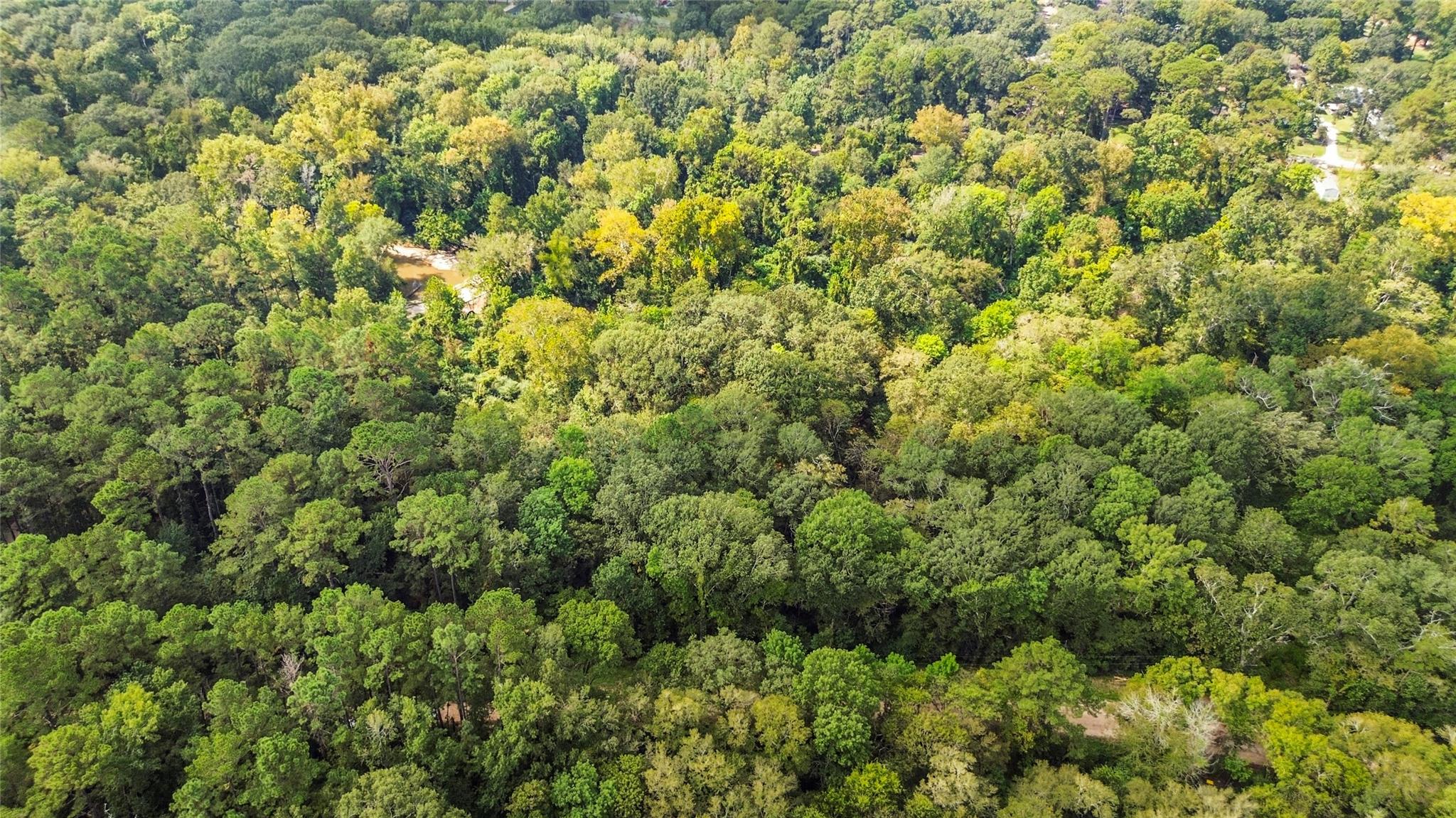 Land in Conroe 3