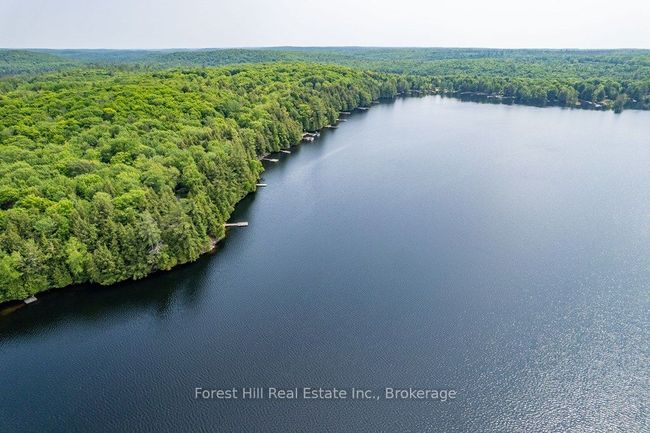 1131 Buckslide Rd, House other with 3 bedrooms, 1 bathrooms and 6 parking in Algonquin Highlands ON | Image 36