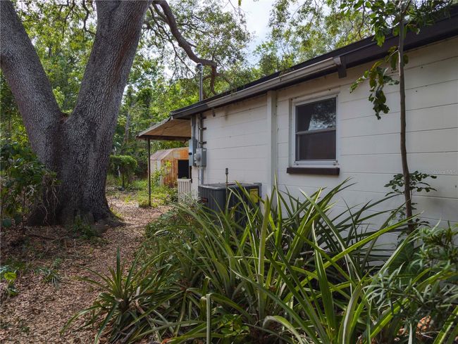 side yard | Image 4