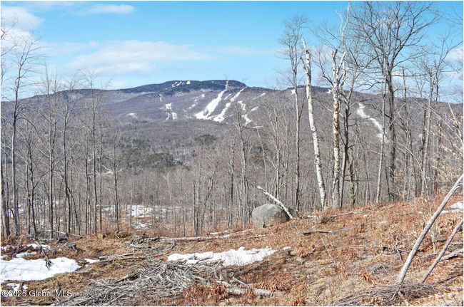 48 Durkin Rd, Home with 0 bedrooms, 0 bathrooms and null parking in North Creek NY | Image 16