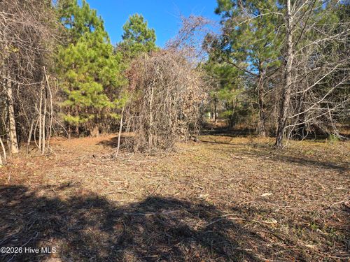 203 Moores Landing Ct, Hampstead, NC, 28443-8610 | Card Image