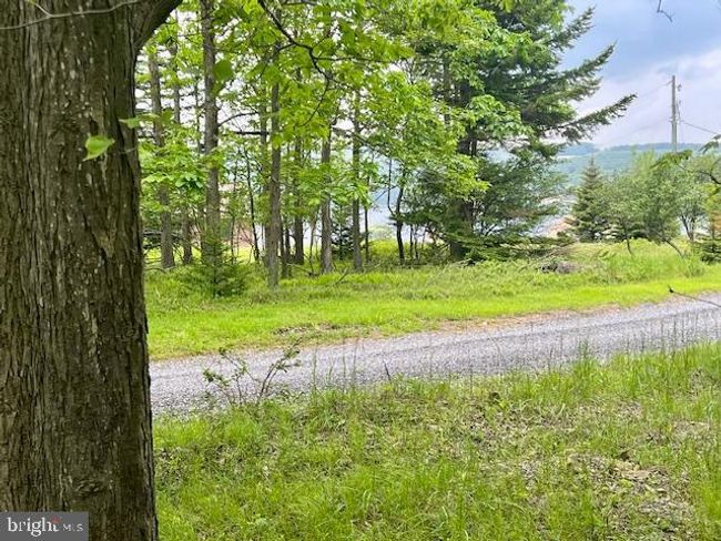 542 Hidden Acres Rd, House other with 3 bedrooms, 3 bathrooms and null parking in MOUNT STORM WV | Image 6
