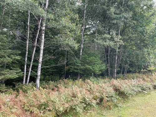 Lot 8 Hermosa Lane, Hayward, WI, 54843 | Card Image