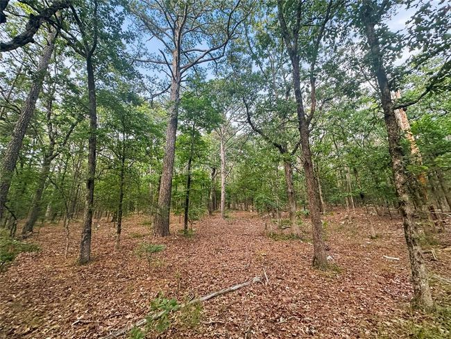 53 - 53 Homestead Trl, Home with 0 bedrooms, 0 bathrooms and null parking in Moyers OK | Image 17