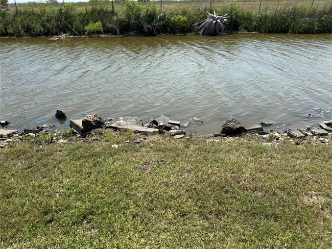 Moving water canal with plenty of fish & crab! | Image 4