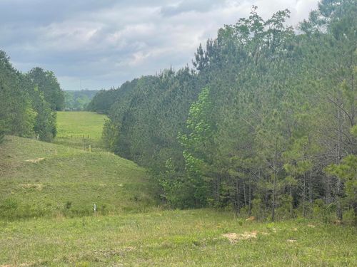 0 County Road 1725, Bay Springs, MS, 39422 | Card Image