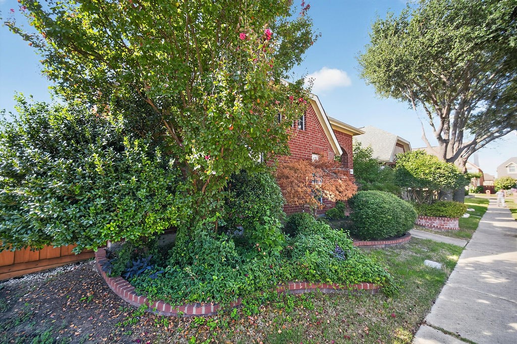 Residential Lease in Allen 3