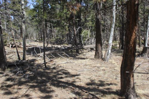 361 Vail Loop, Angel Fire, NM, 87710-8002 | Card Image