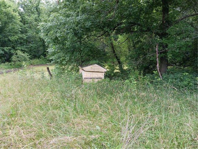 871 Sw 301 St Rd, House other with 2 bedrooms, 1 bathrooms and null parking in Chilhowee MO | Image 26