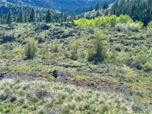 2 x Alder Road, Twisp, WA, 98856 | Card Image