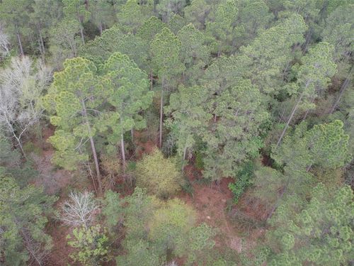 Lot 281 E Lakeland Ct, Hillister, TX, 77624 | Card Image