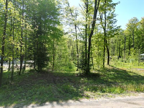 0 Trappers Trail Rd, Haliburton, ON, K0M1S0 | Card Image