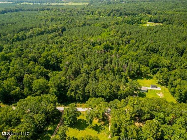 123 Yates Rd Magee-22 | Image 22