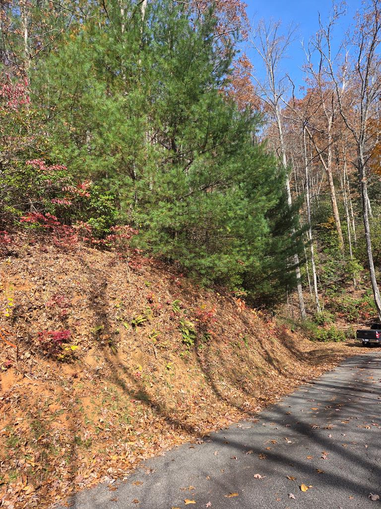 Land in Franklin 4